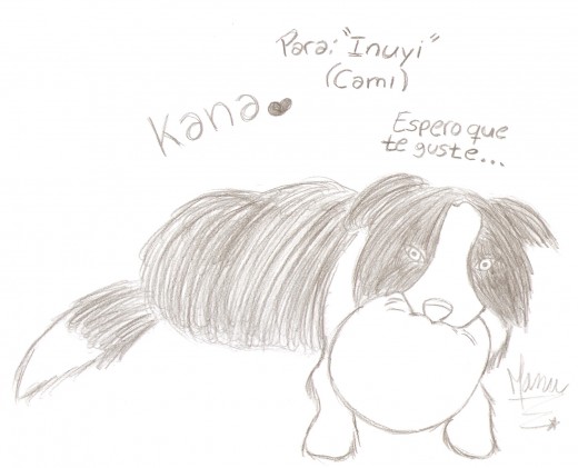 ♥ "Kana" la Border Collie de Inuyi ♥